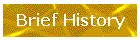 Brief History