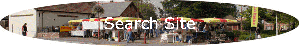 Search Site
