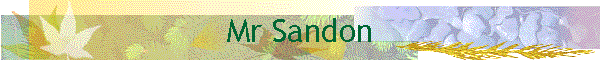 Mr Sandon