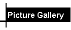 Picture Gallery