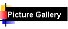 Picture Gallery